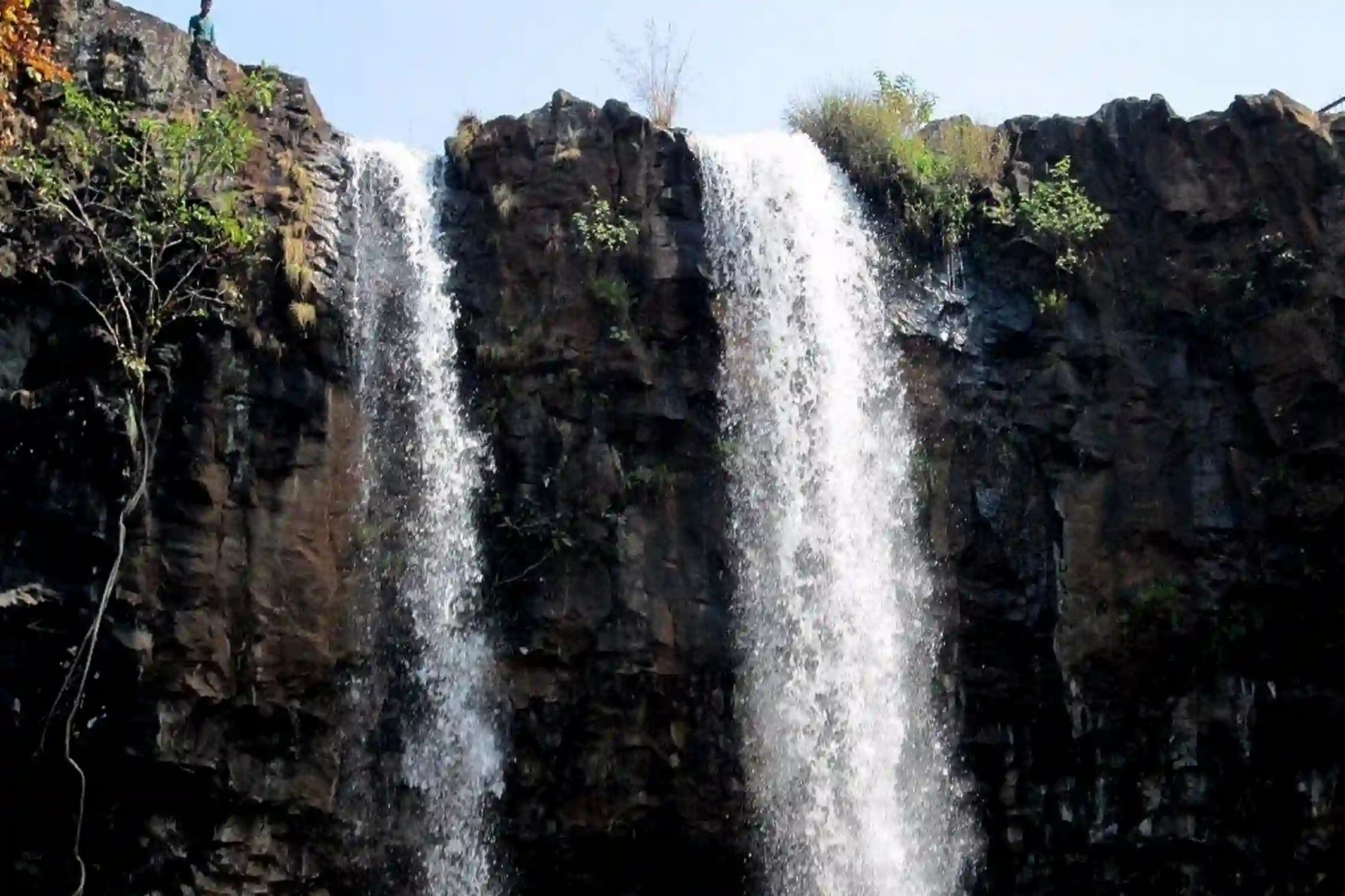 Bilaspur to Kapildhara Waterfalls One Day Trip