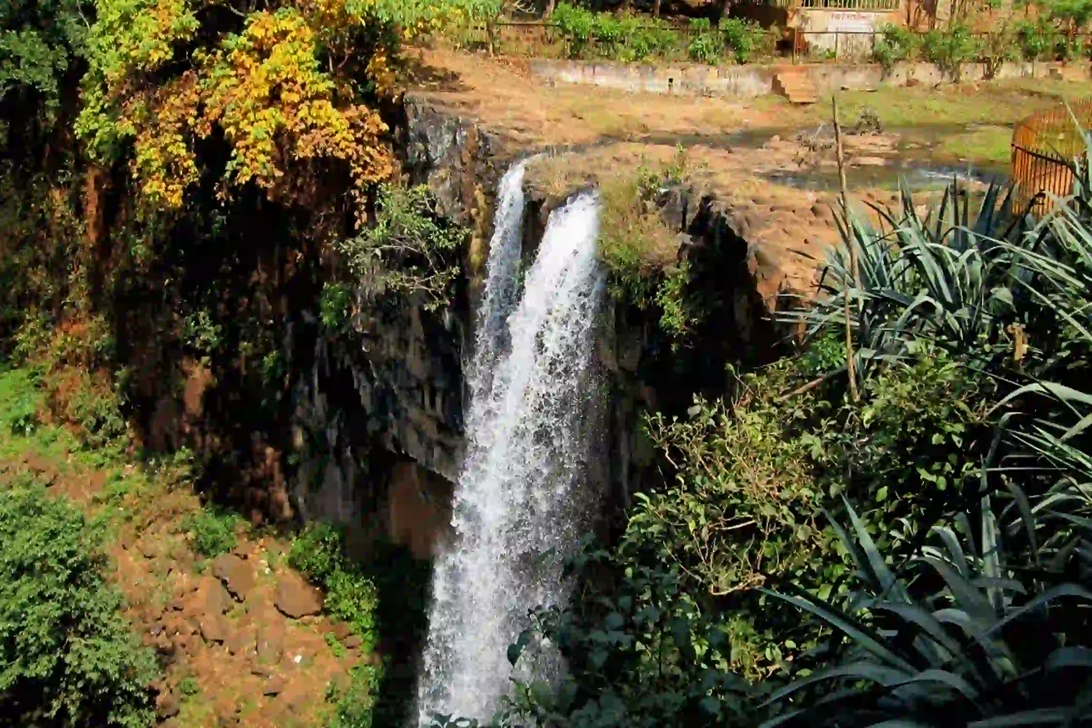 Bilaspur to Kapildhara Waterfalls One Day Trip