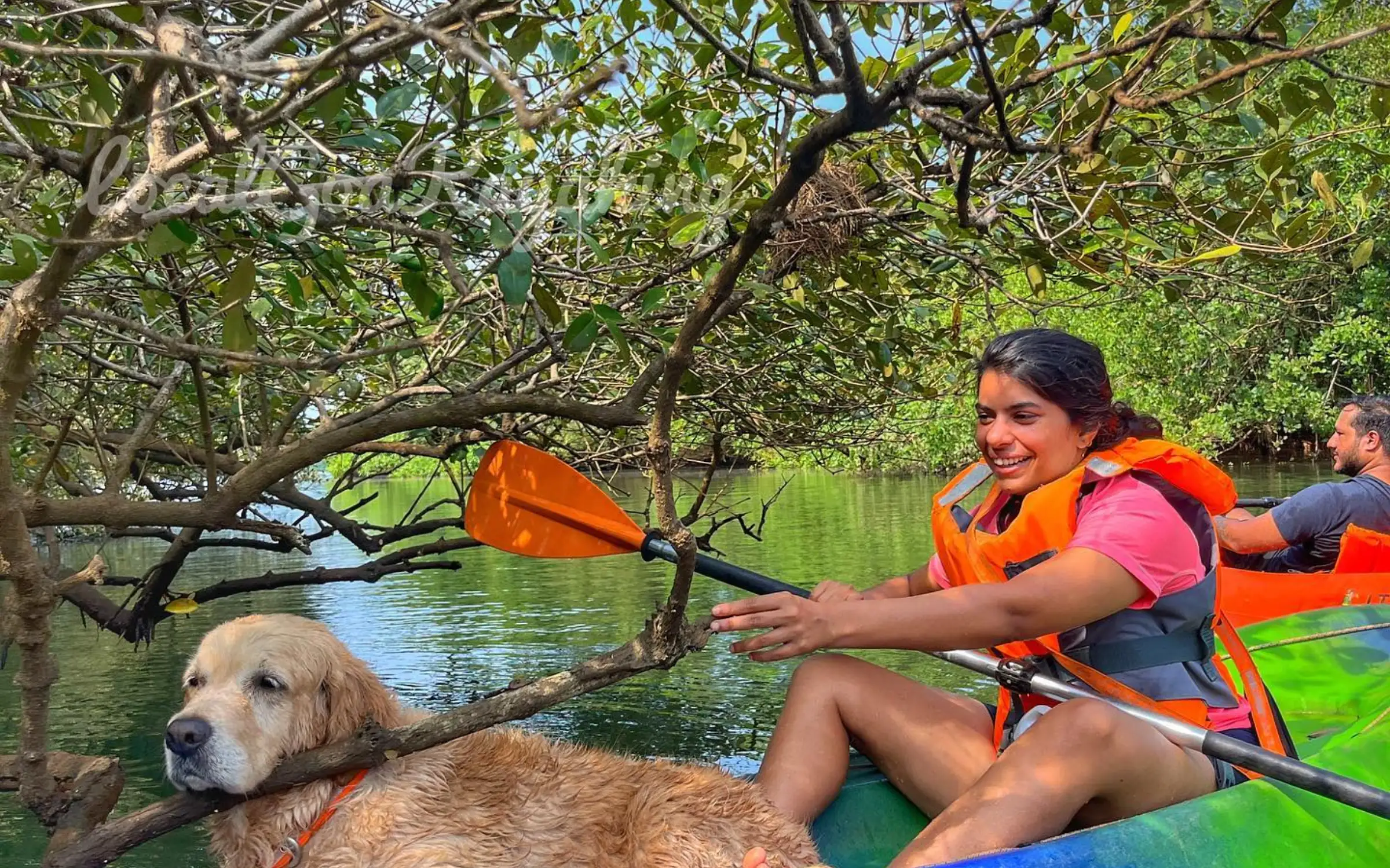 Boating in Chapora River