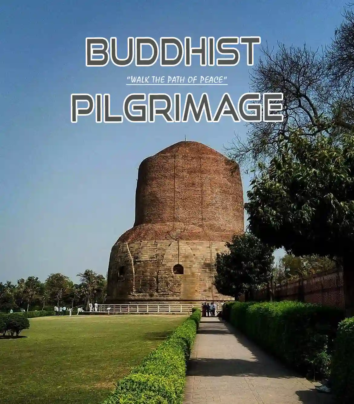 Buddhist Pilgrimage Tour Packages from Delhi