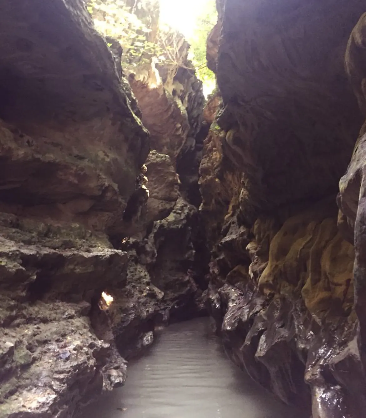 Haridwar to Budher Caves Day Trip