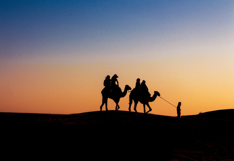 Camel Safari In Dausa