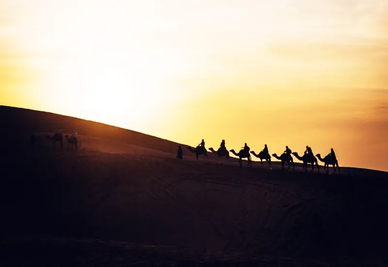 Pushkar Camel Safari