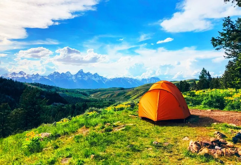 Waichin Valley Camping