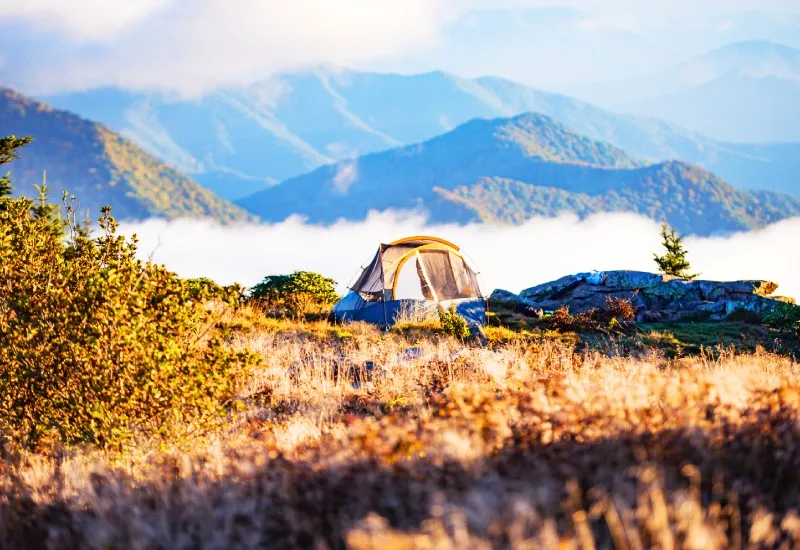 Spiti Valley Camping