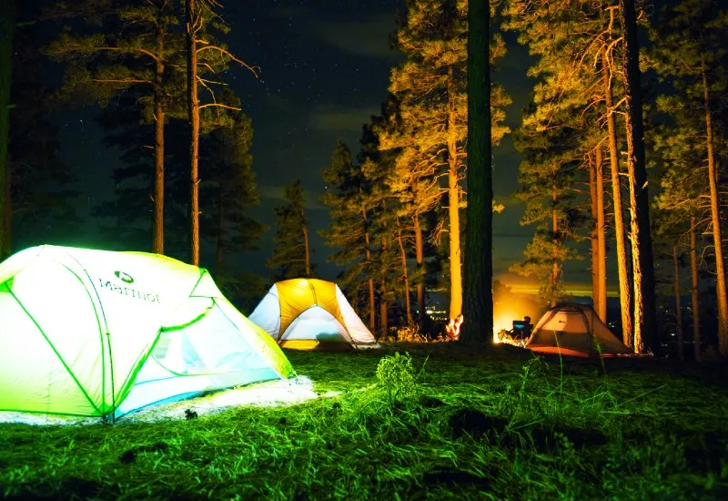 Camping in Sariska