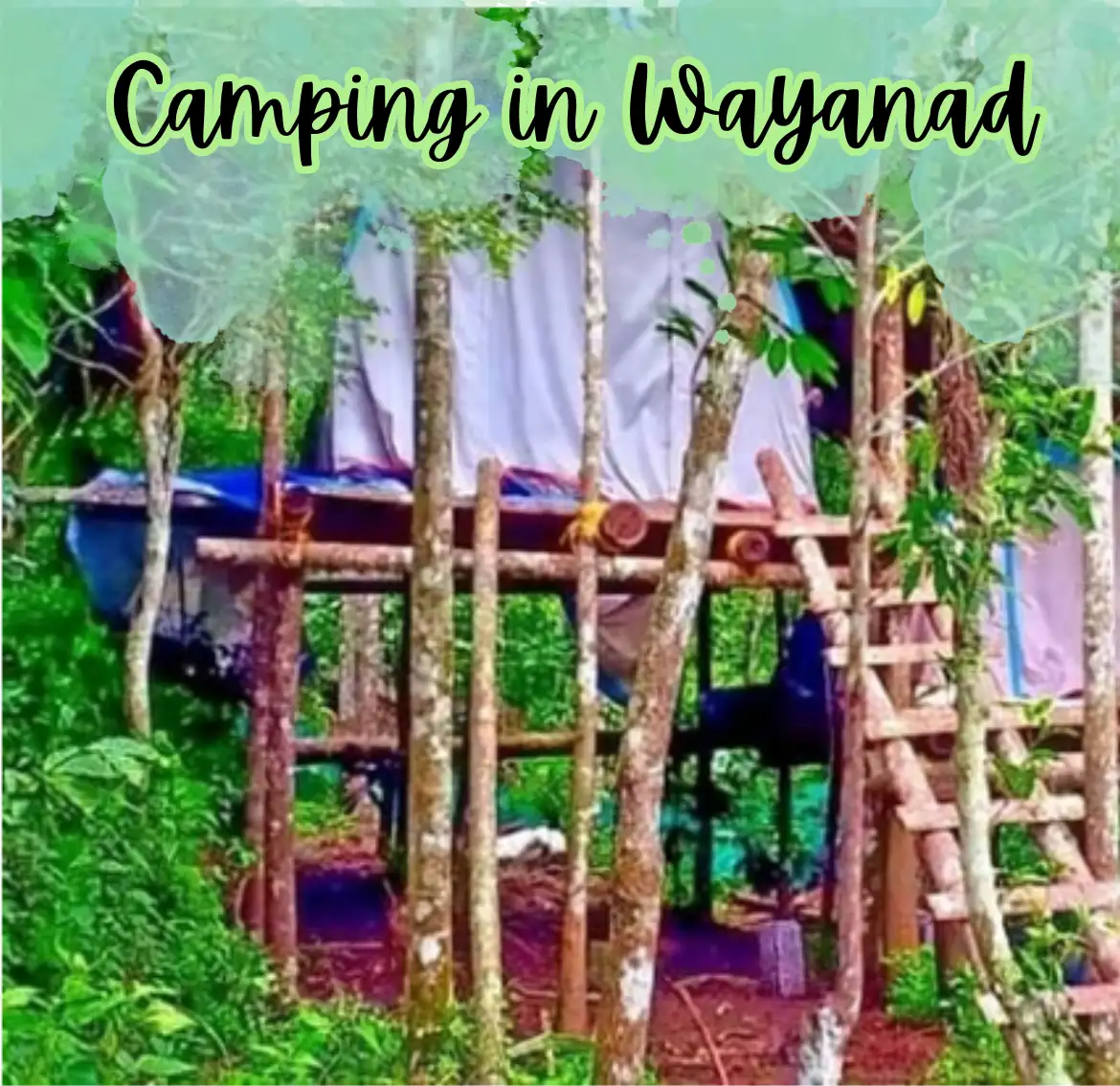 Camping in Wayanad