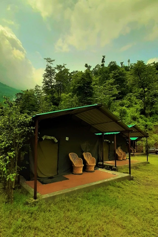 Camping In Rishikesh With River Rafting