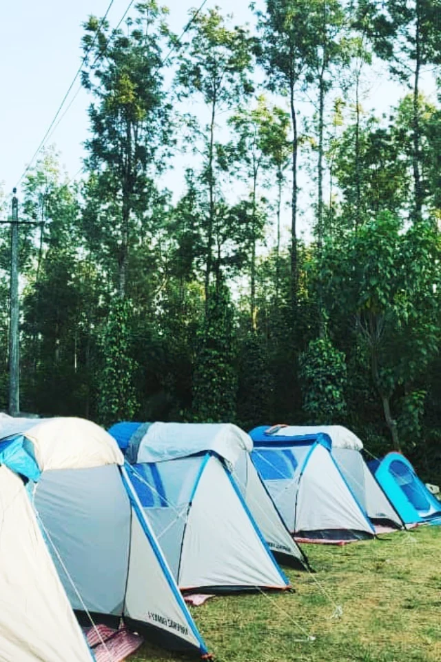 Camping in Chikmagalur