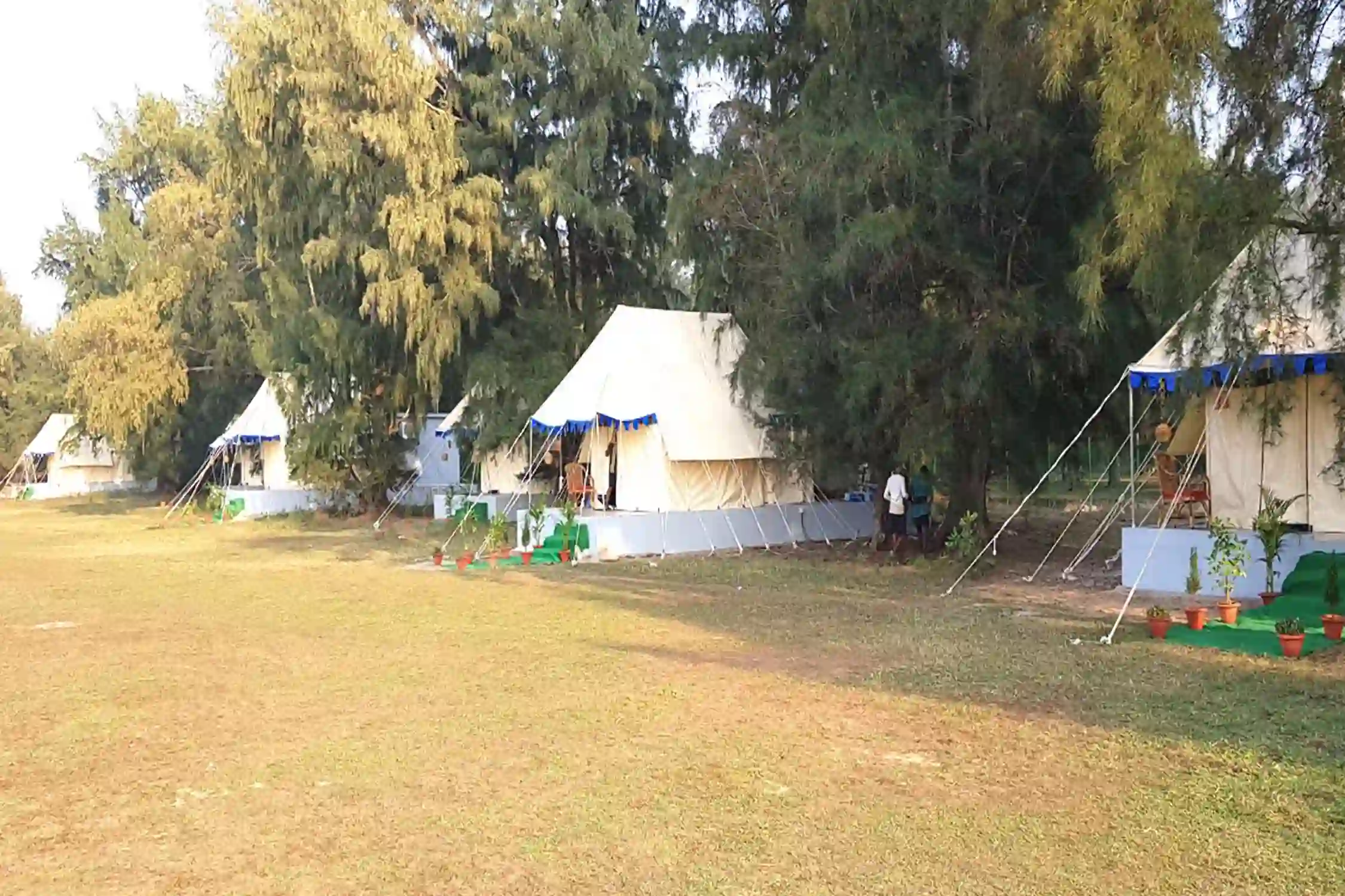 Chilika Eco Camp Odisha