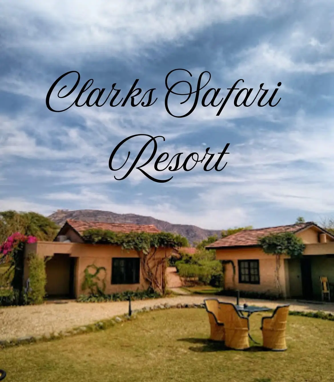 Clarks Safari Pushkar