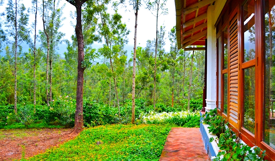 Coffee Estate Tour in Coorg