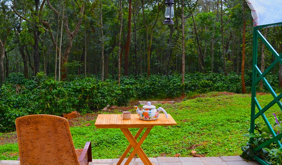 Coffee Estate Tour in Coorg