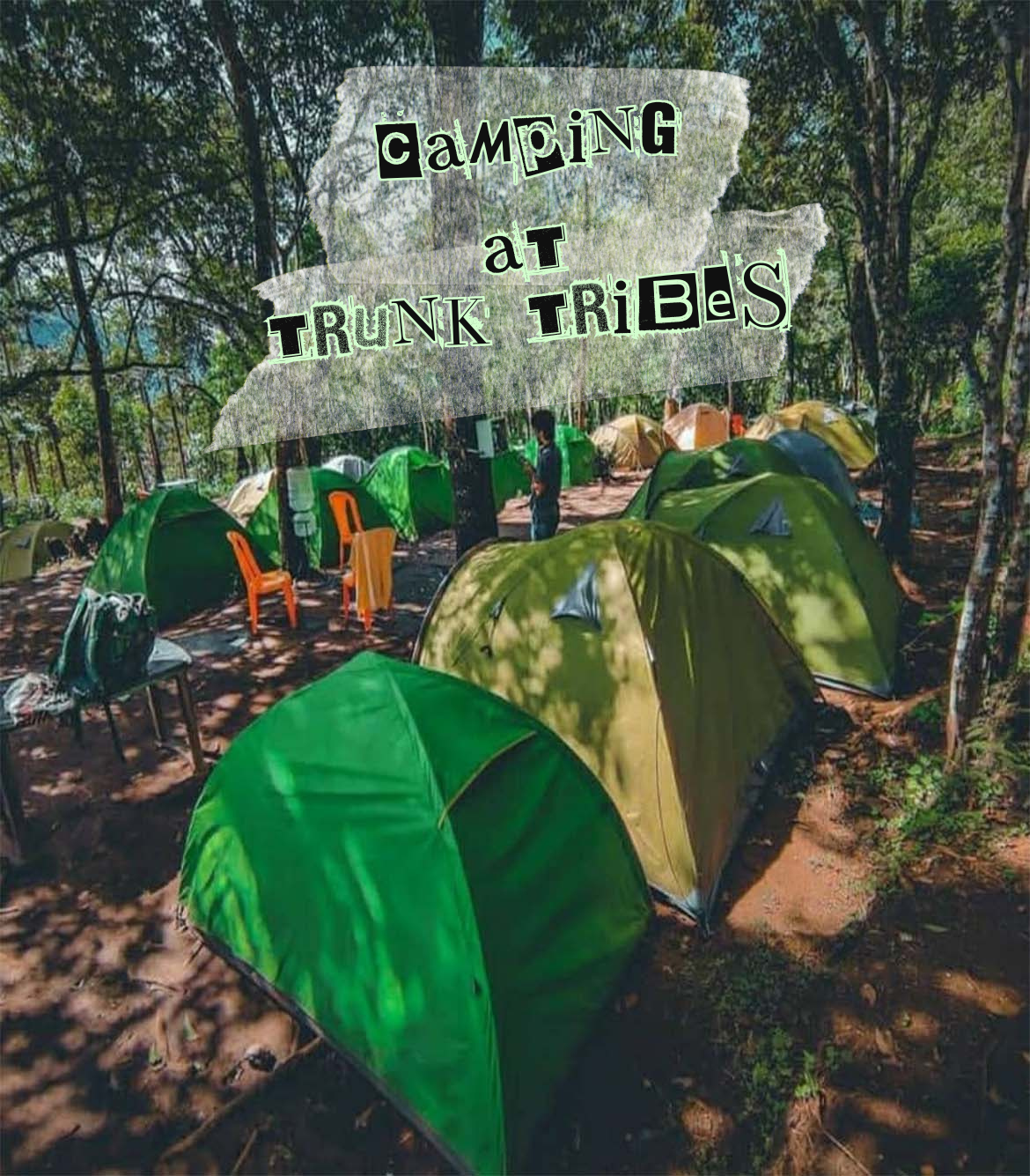 Camping at Trunk Tribes