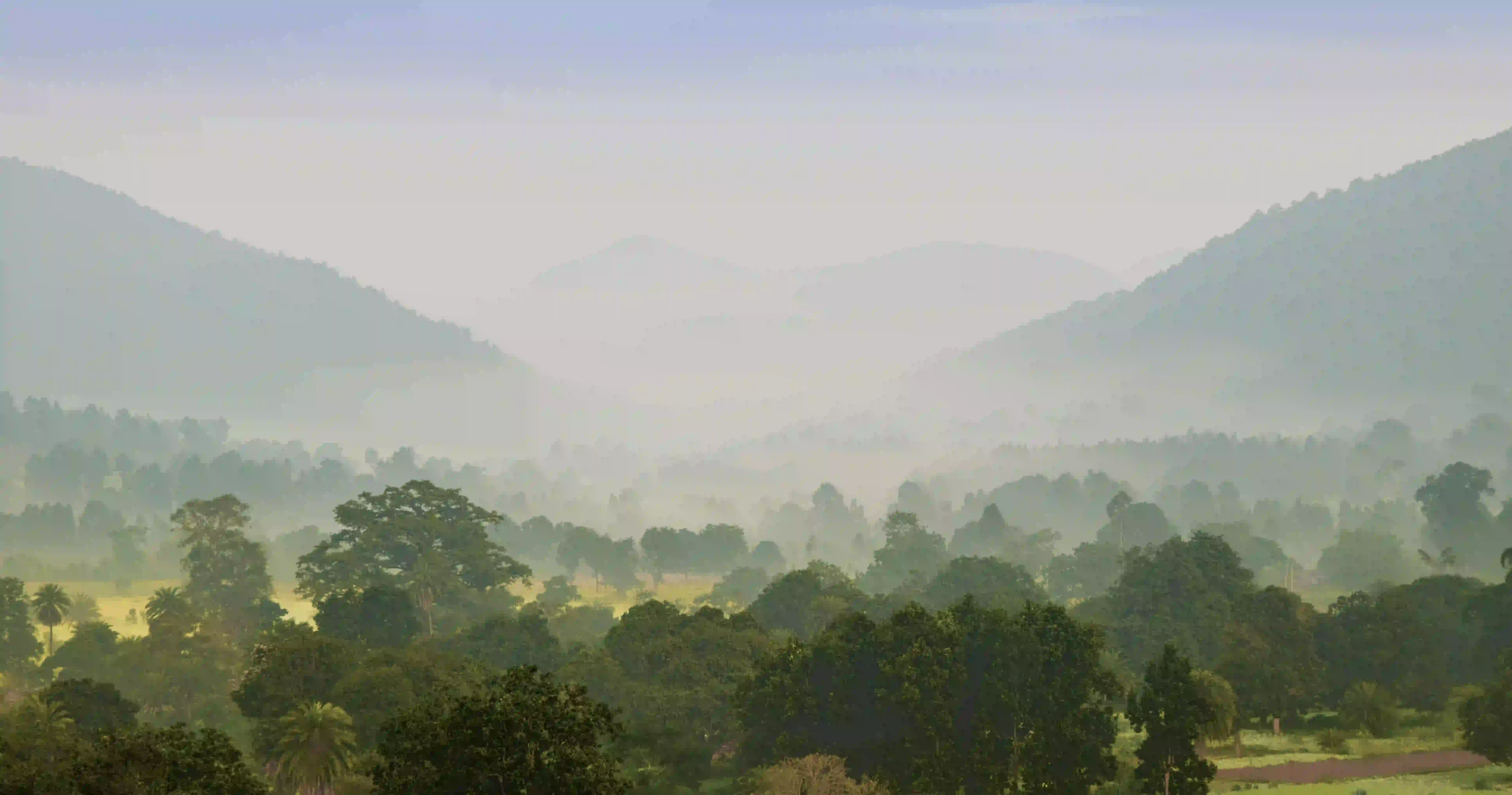 Golden Triangle with Daringbadi Tour Packages