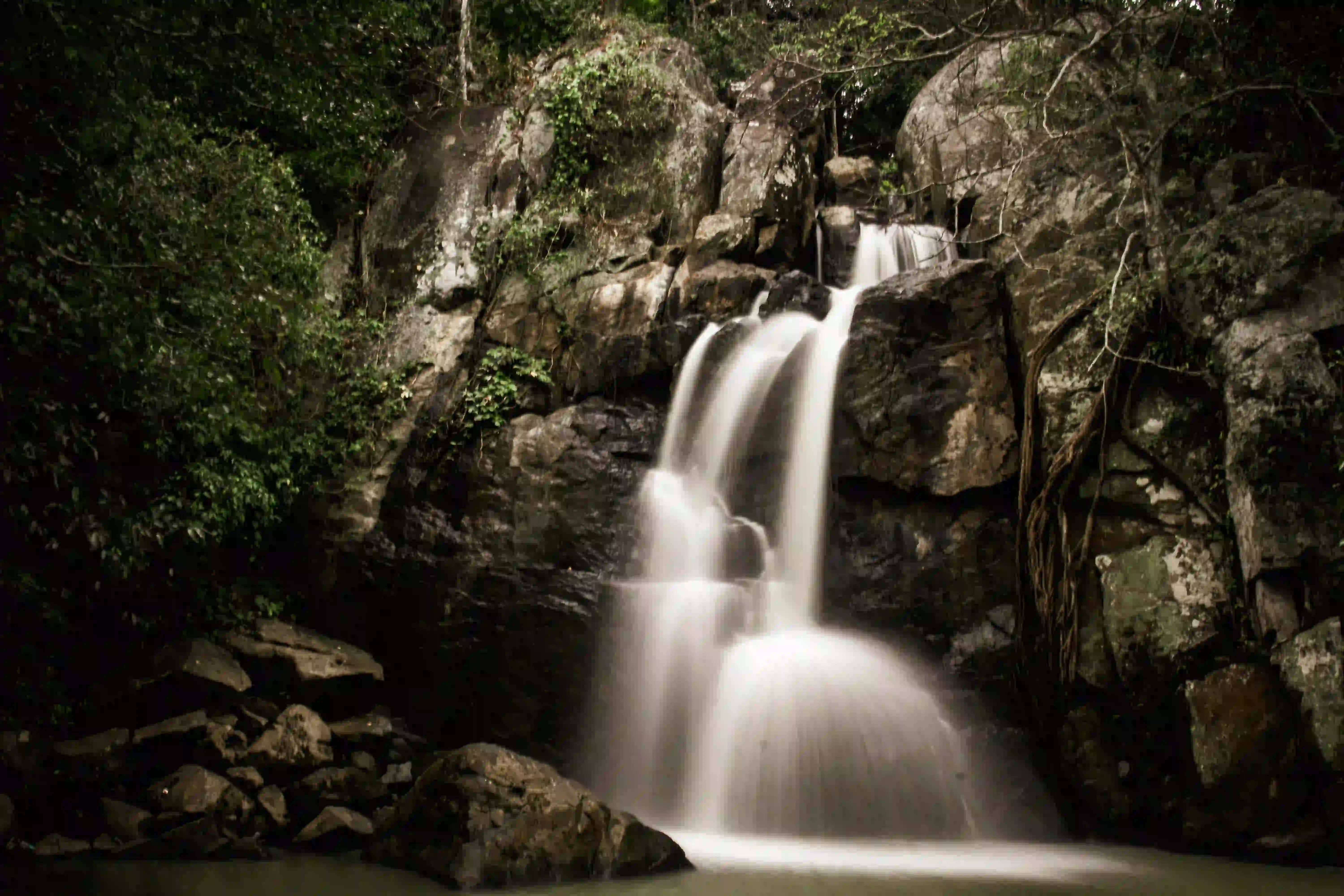 Golden Triangle with Daringbadi Tour Packages