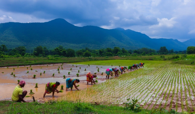 Daringbadi Tour Package from Kolkata