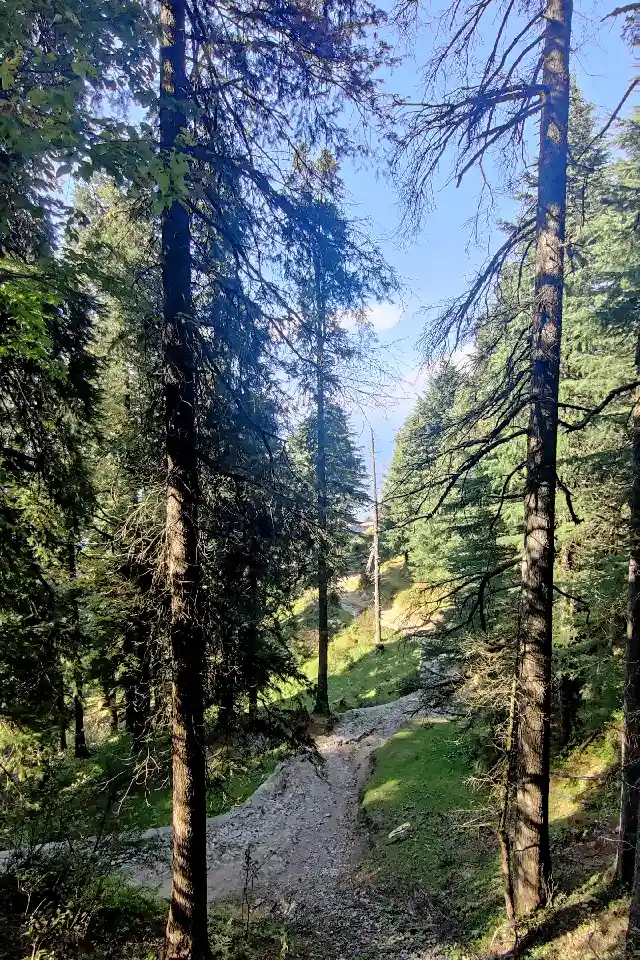 Day Excursion of Dalhousie Local with Sightseeing