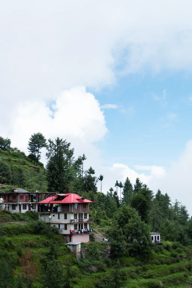 Day Excursion of Kasauli & Baddi from Shimla