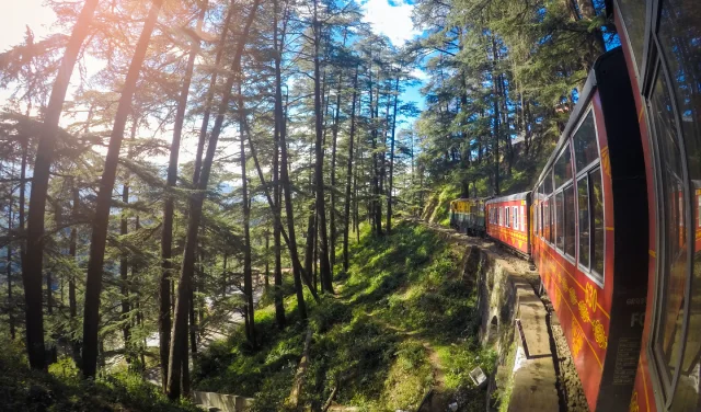 Day Excursion of Mashobra & Naldehra from Shimla