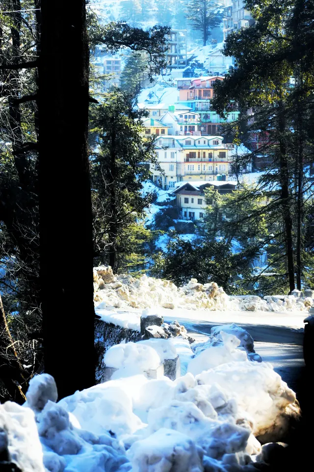 Day Excursion of Shimla Local