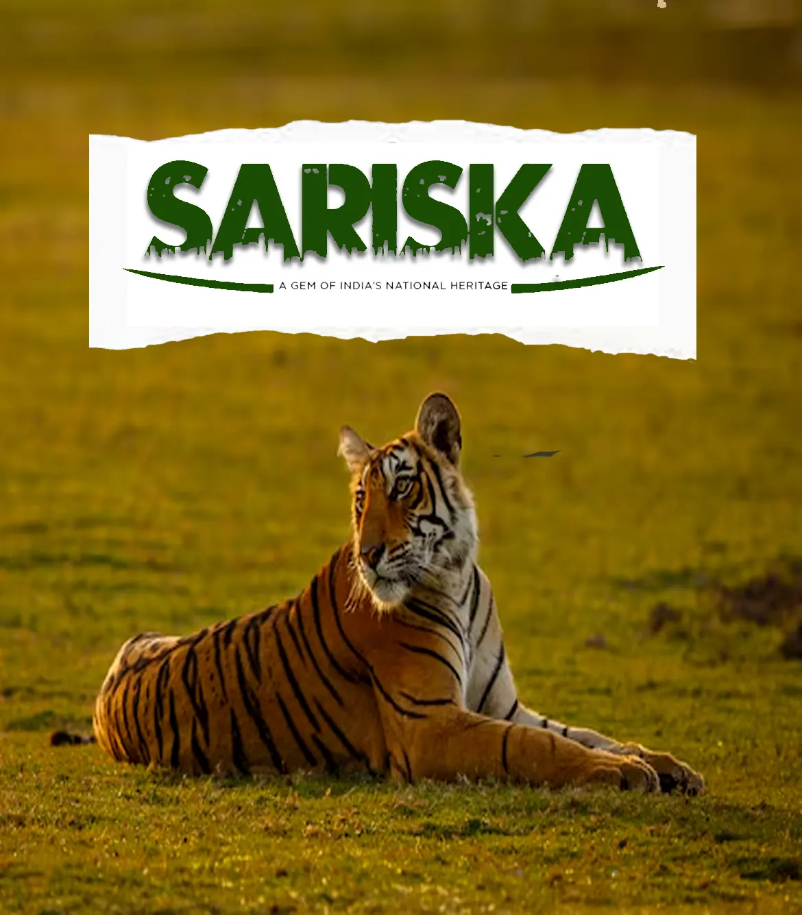 One Day Delhi to Sariska Trip