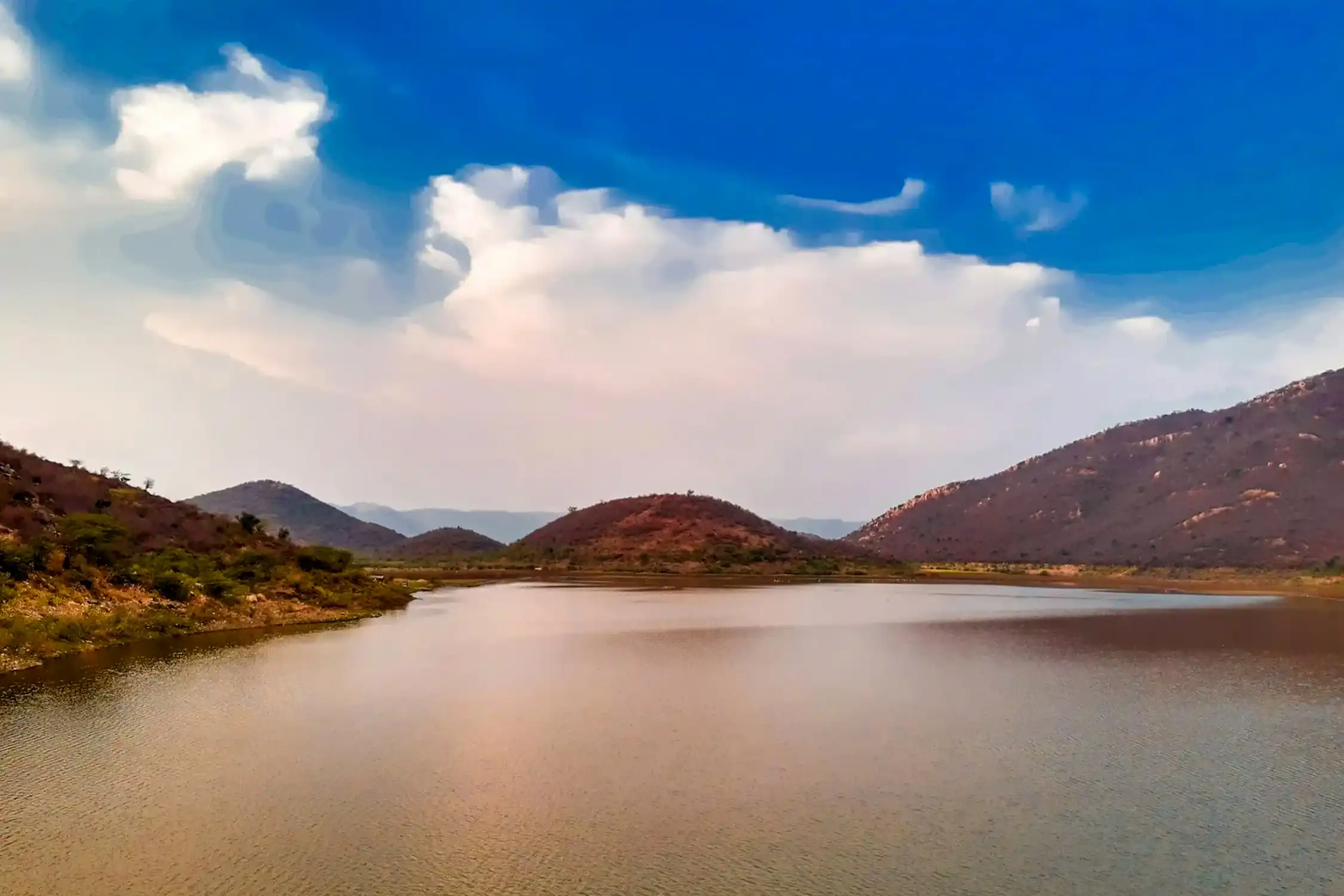 One Day Delhi to Sariska Trip