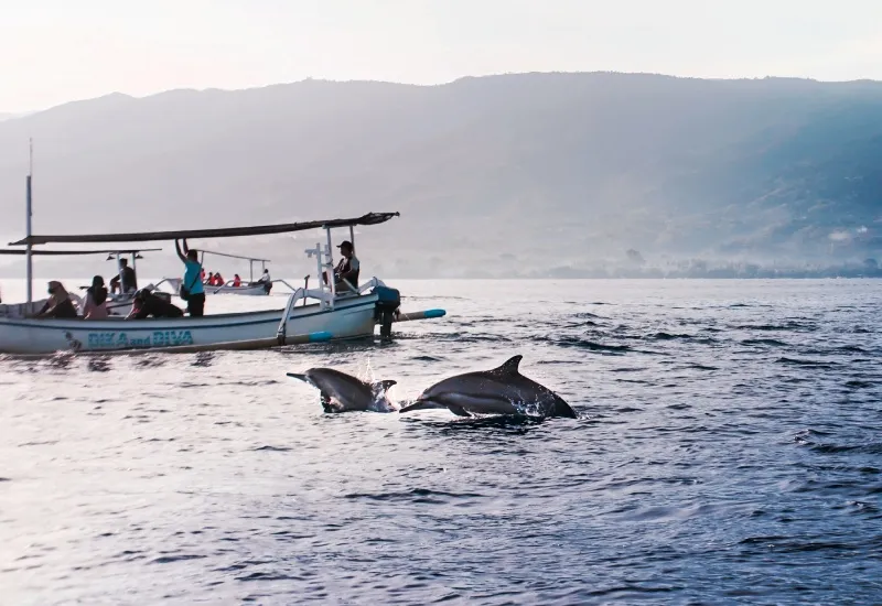 Dolphin Trip in Varanasi