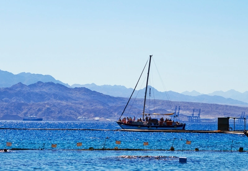 Diu Dolphin Safari and Sightseeing