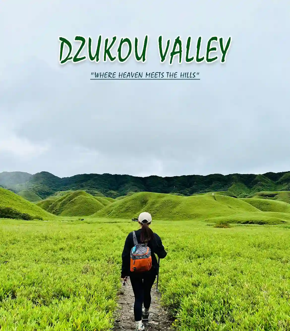 Dzukou Valley Trek 2025