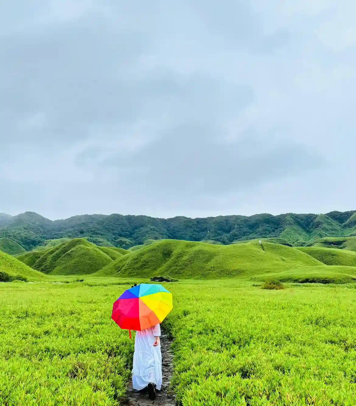 Dzukou Valley Trek 2025