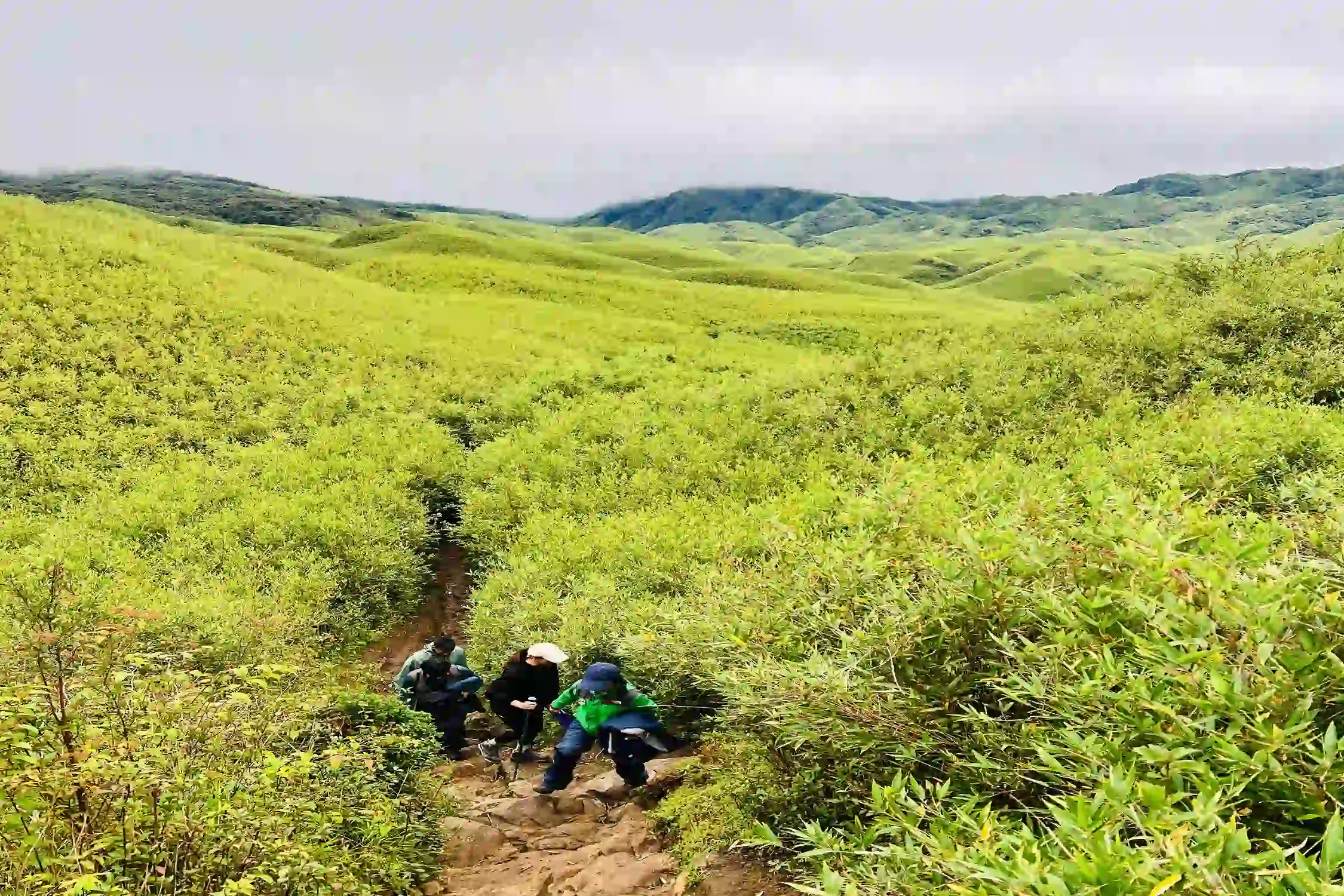 Dzukou Valley Trek 2025