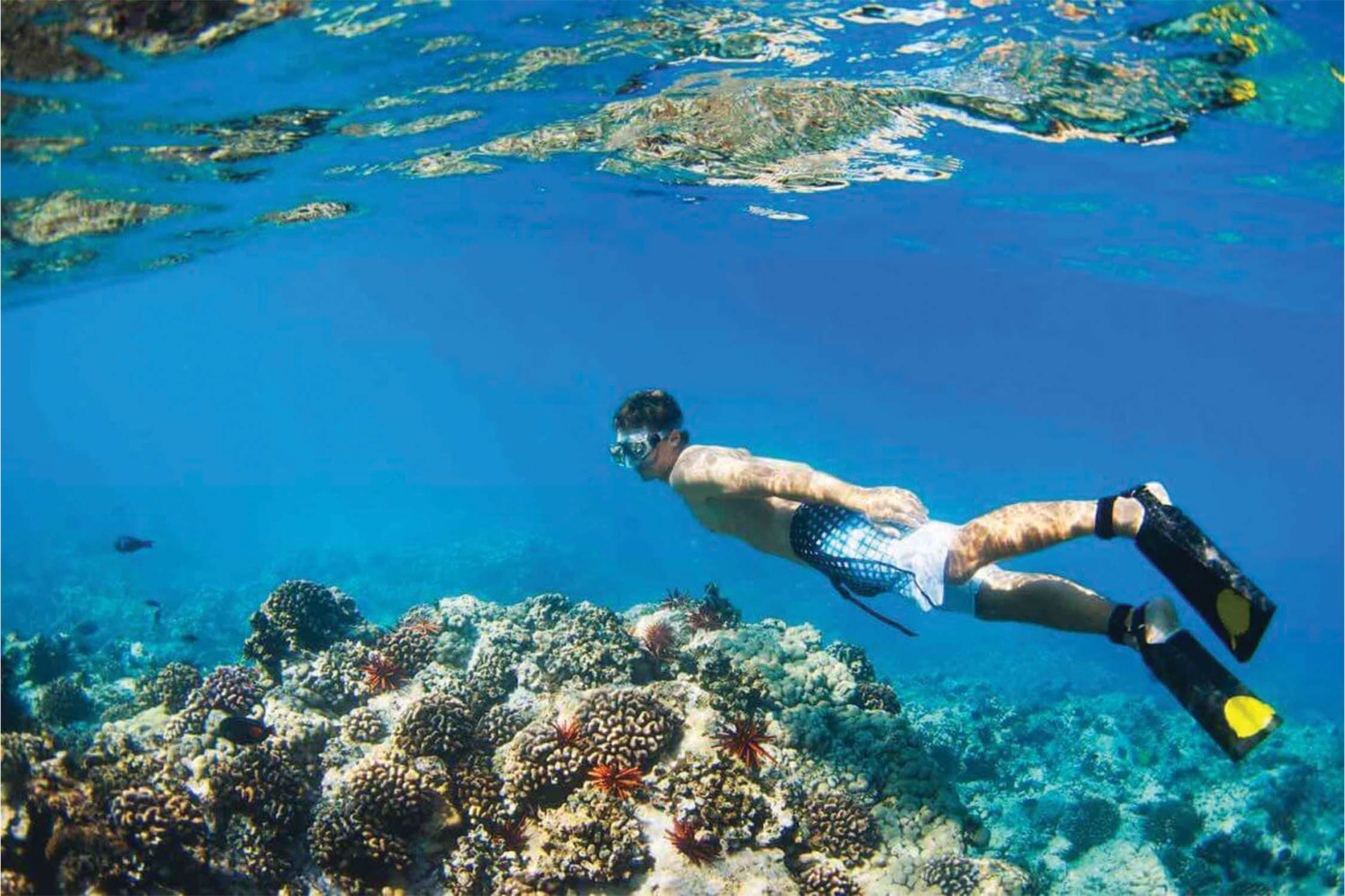 Snorkeling in Gonsua Beach