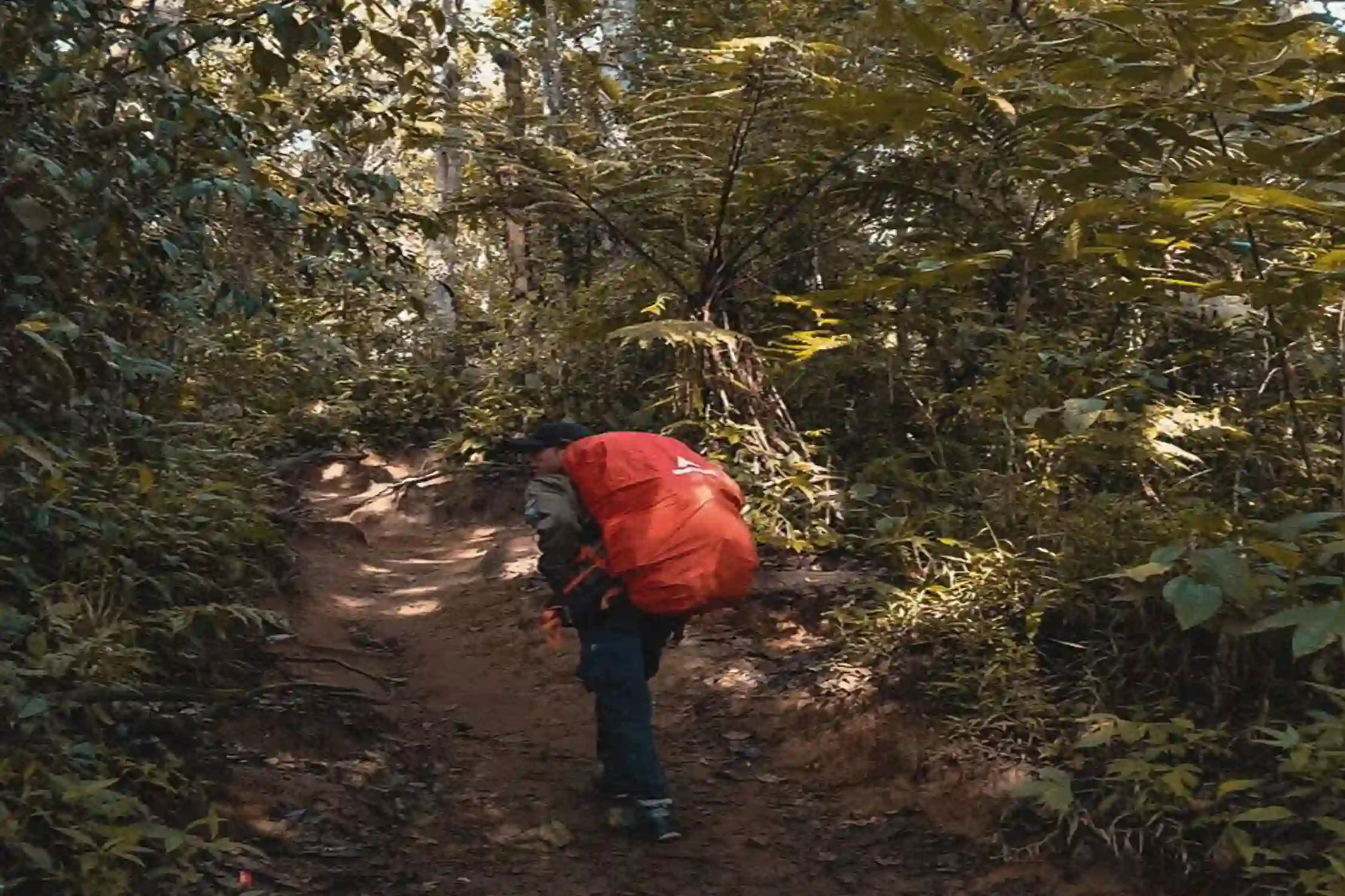 Epic Camping Wayanad