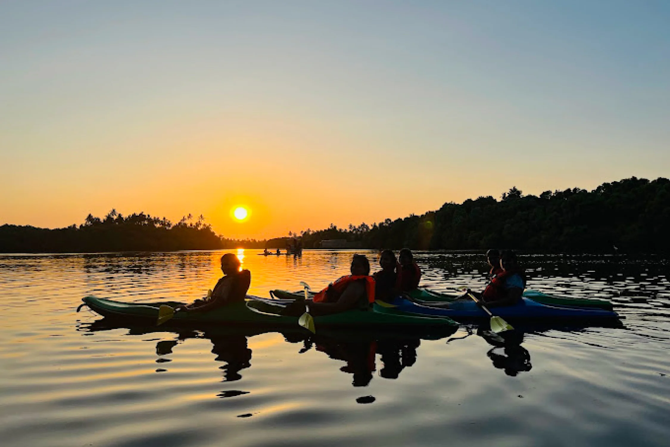 Mangrove Forest Boating Pondicherry