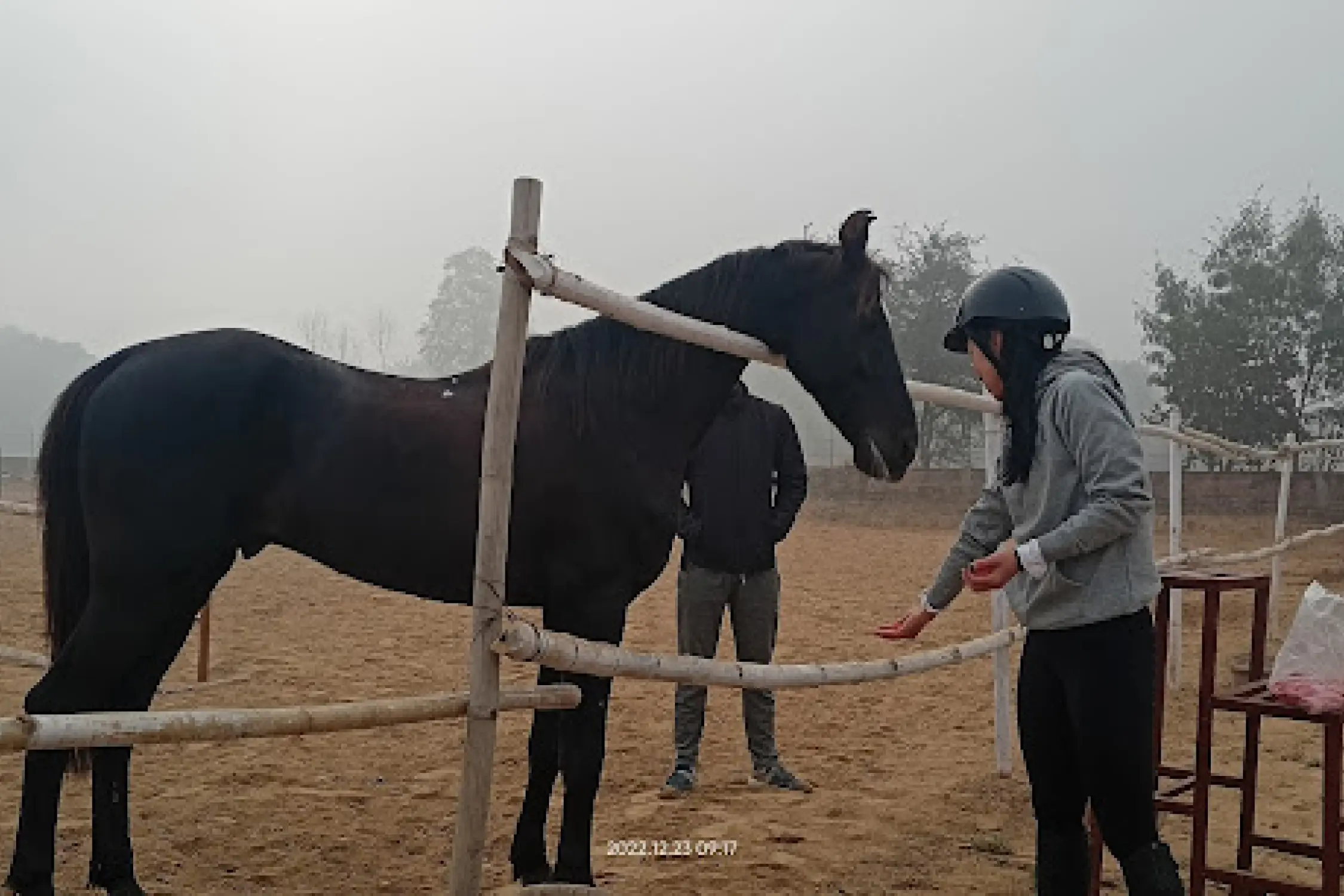 Passion Horse Riding Club Gurgaon