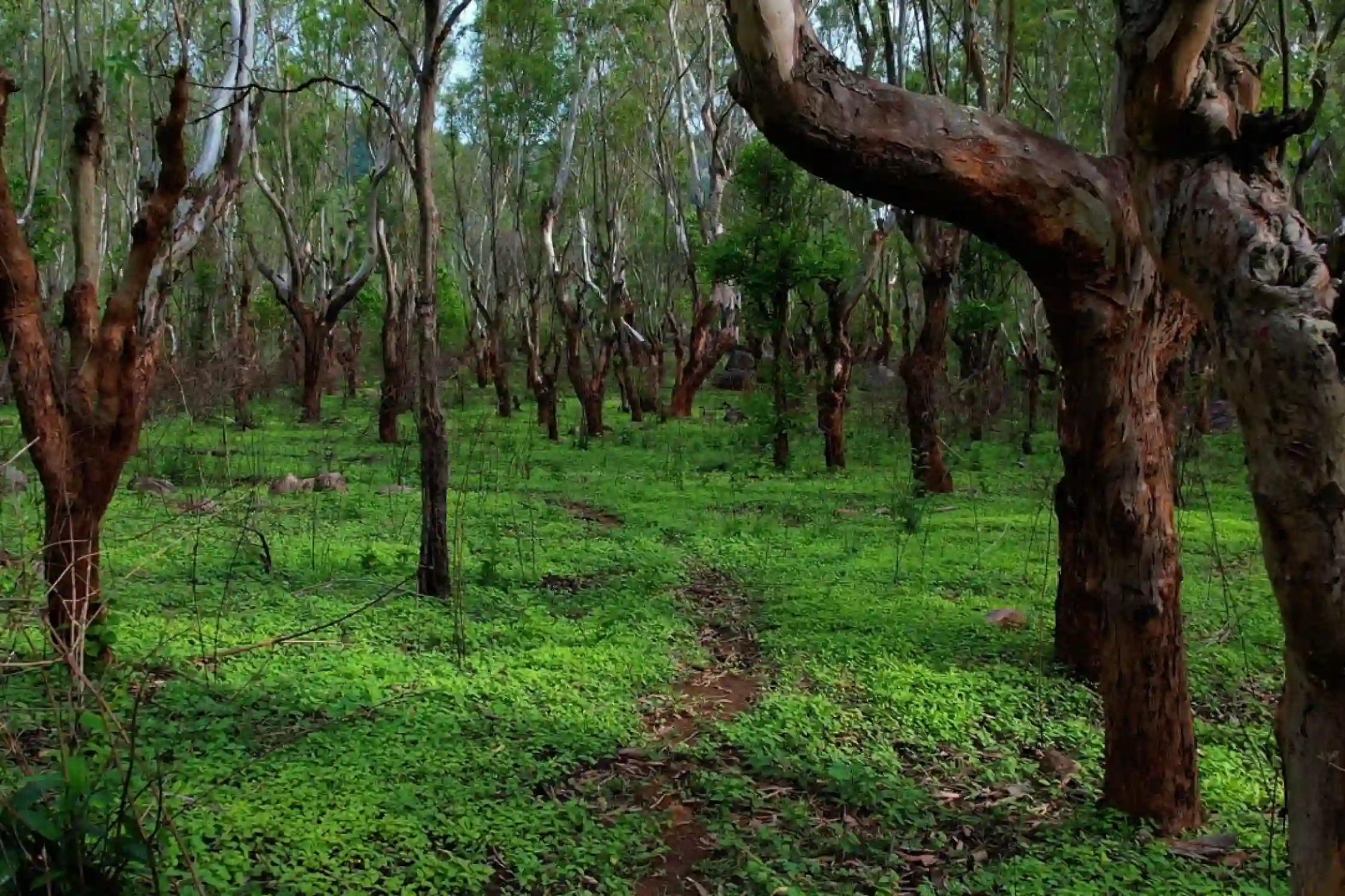 Trek to Jalagamparai