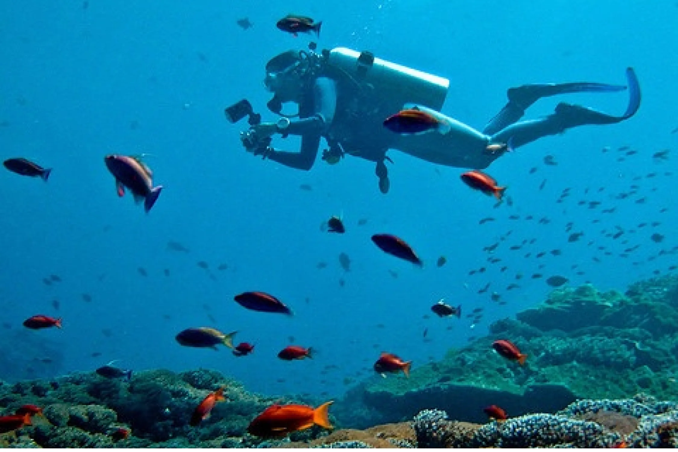 Scuba Diving in Tsunami Island Malvan