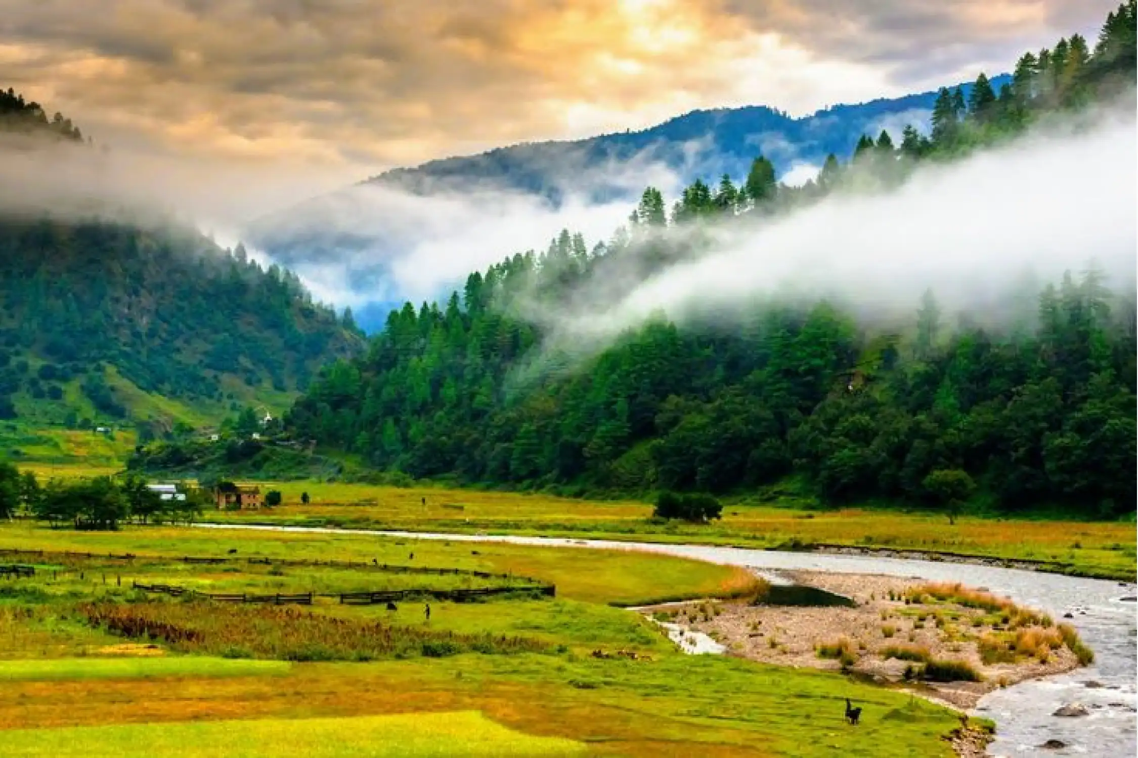 One Day Guwahati to Sangti Valley Sightseeing Trip