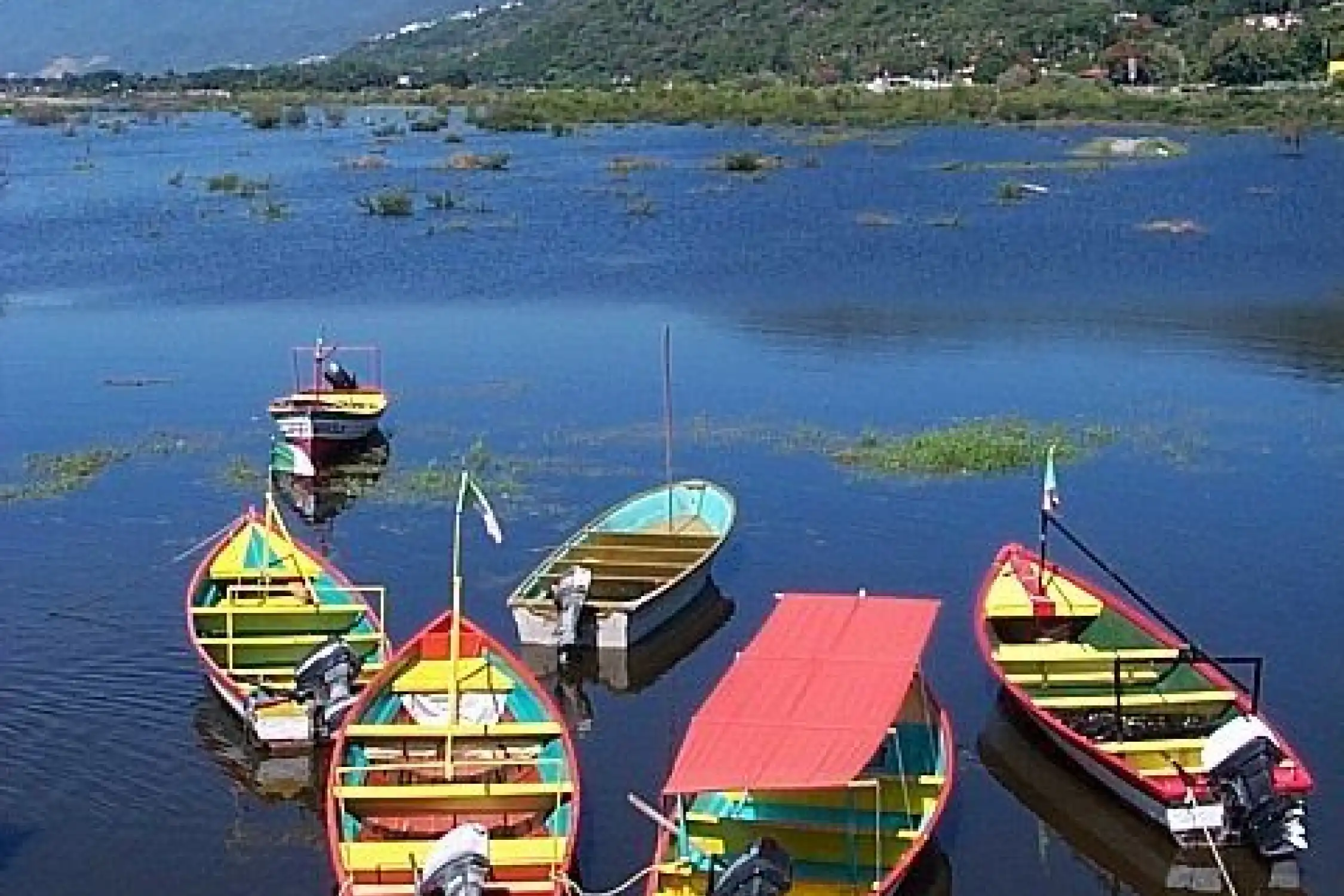 Haridwar to Lachhiwala Sightseeing Trip