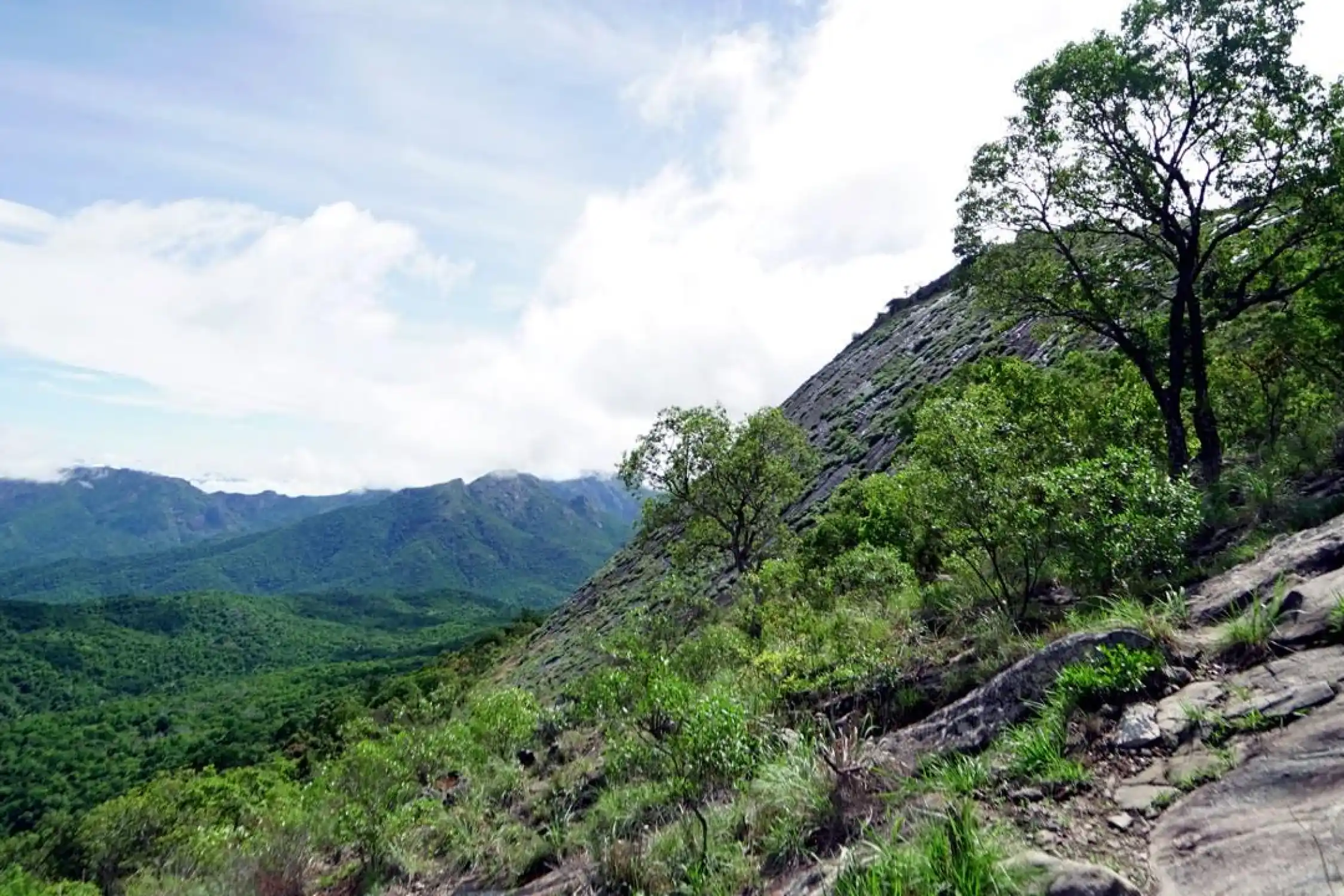 Sembukarai Perumalmudi Trek
