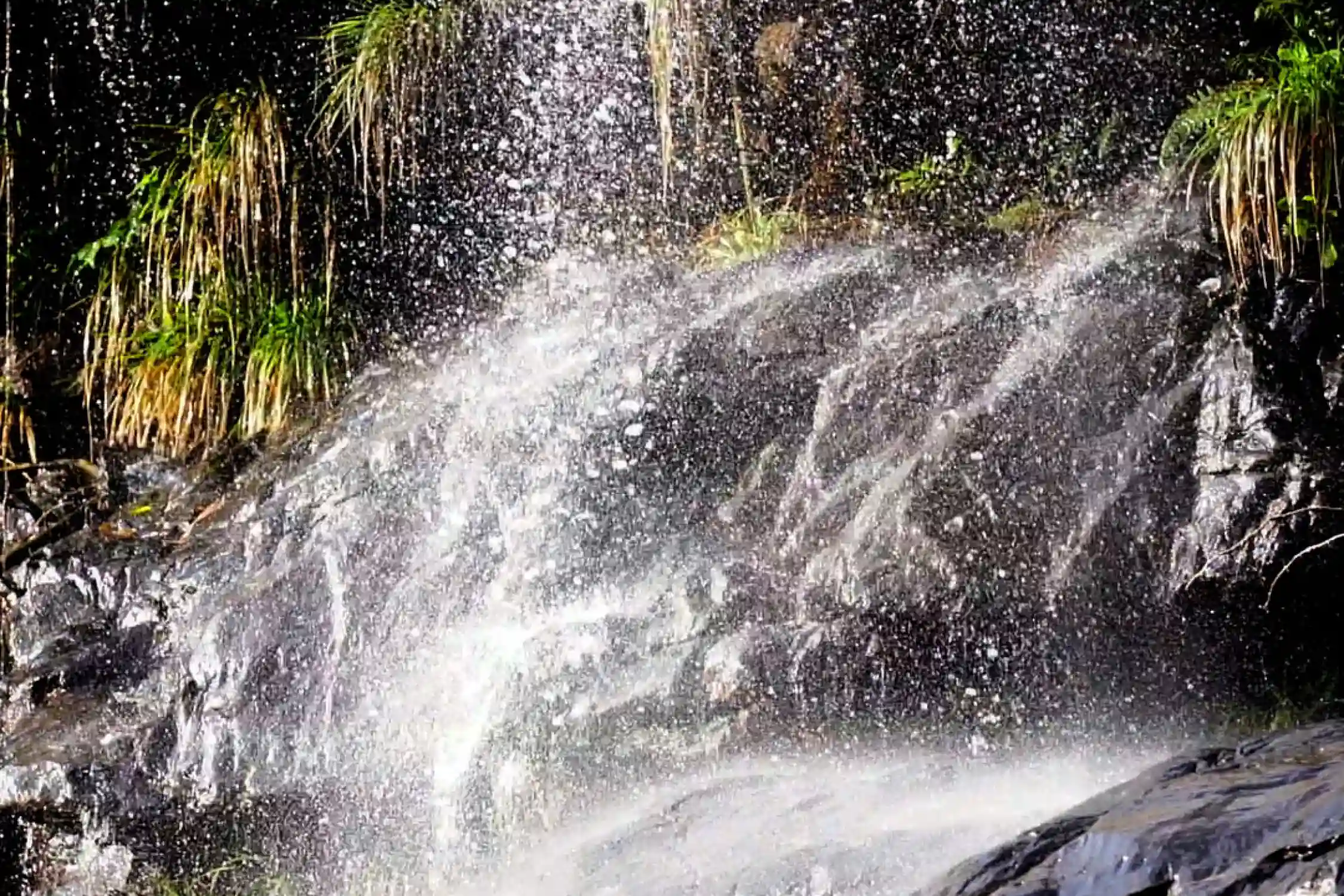 Kutladampatti Falls Trek