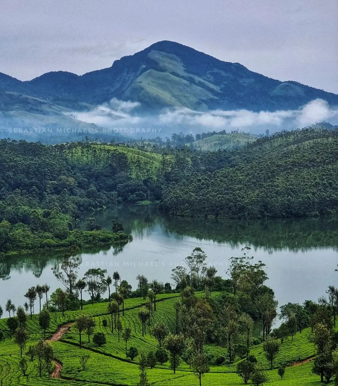 One Day Madurai to Munnar Trip