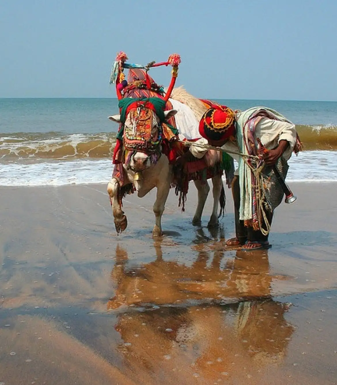 Goa Trip Package For Family