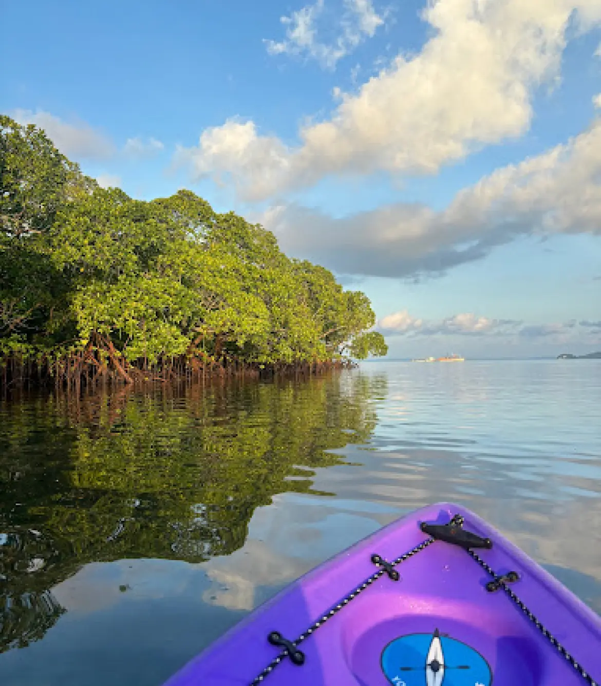 Kayaking in Swaraj Dweep