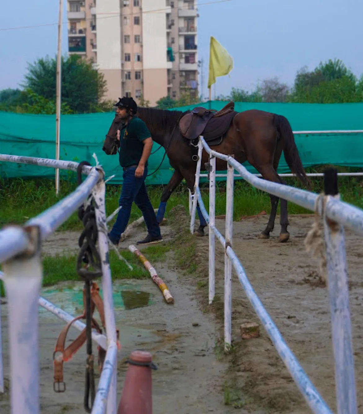 Horse Riding in Faridabad