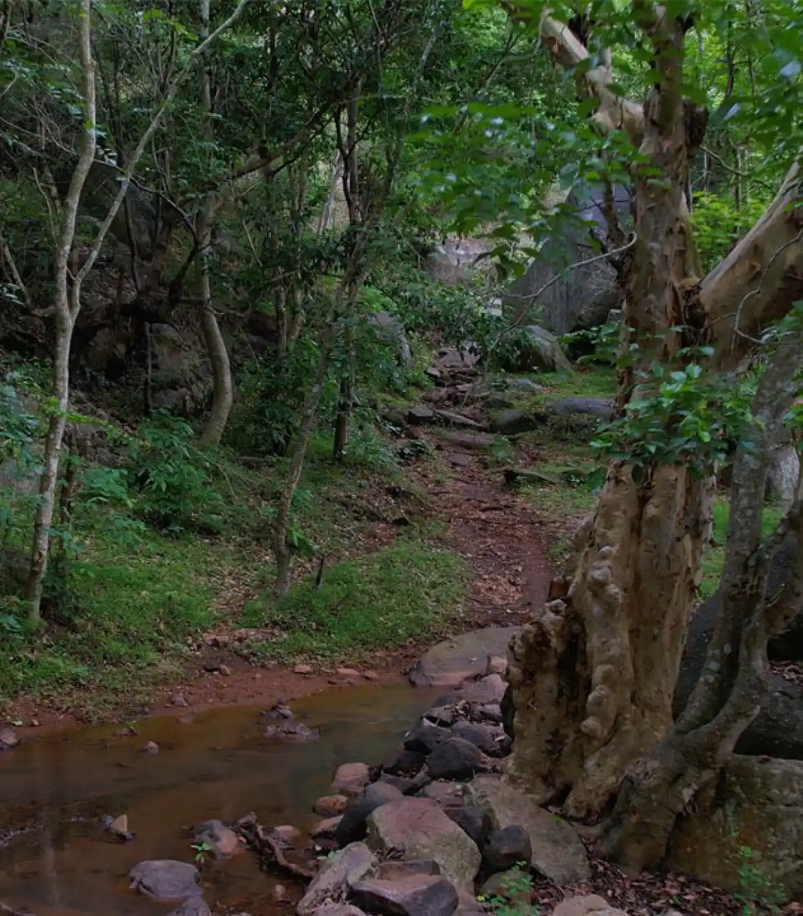 Trek to Jalagamparai