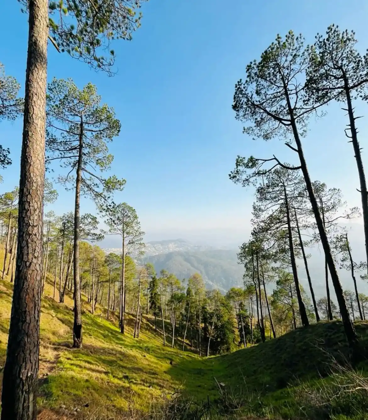 Nainital to Almora One Day Tour Package