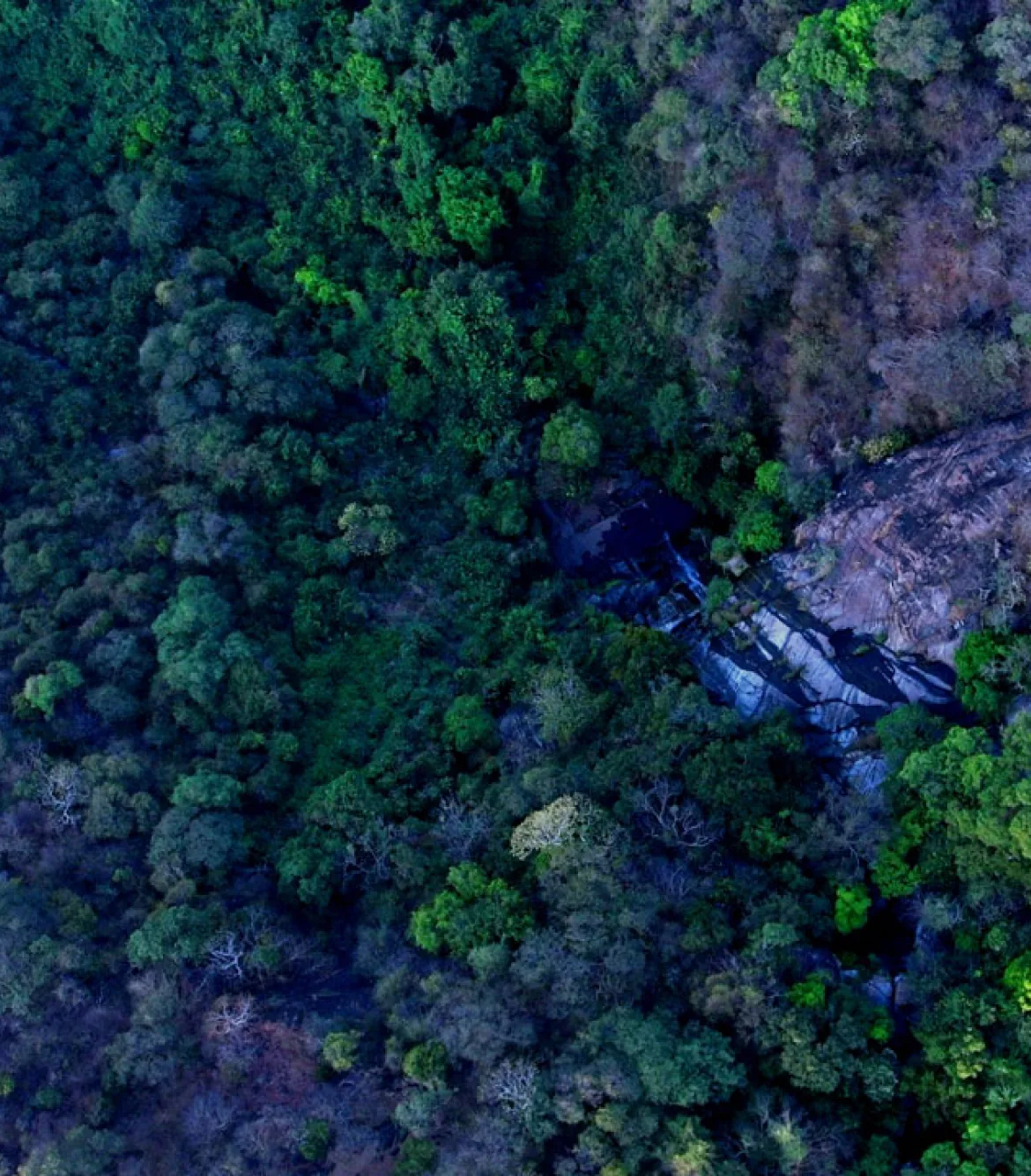 Kutladampatti Falls Trek