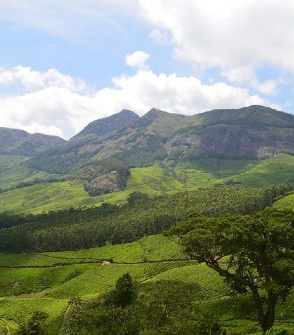 One Day Coorg to Lakkidi View Point Sightseeing Trip